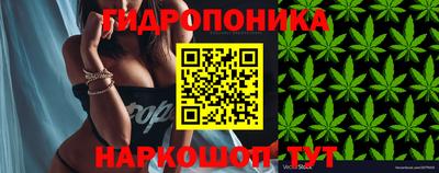спиды Кулебаки