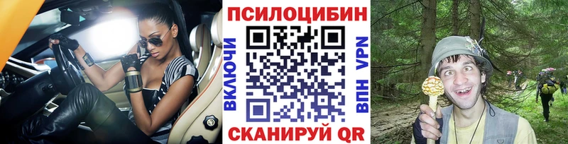 Псилоцибиновые грибы мухоморы  Кизилюрт 