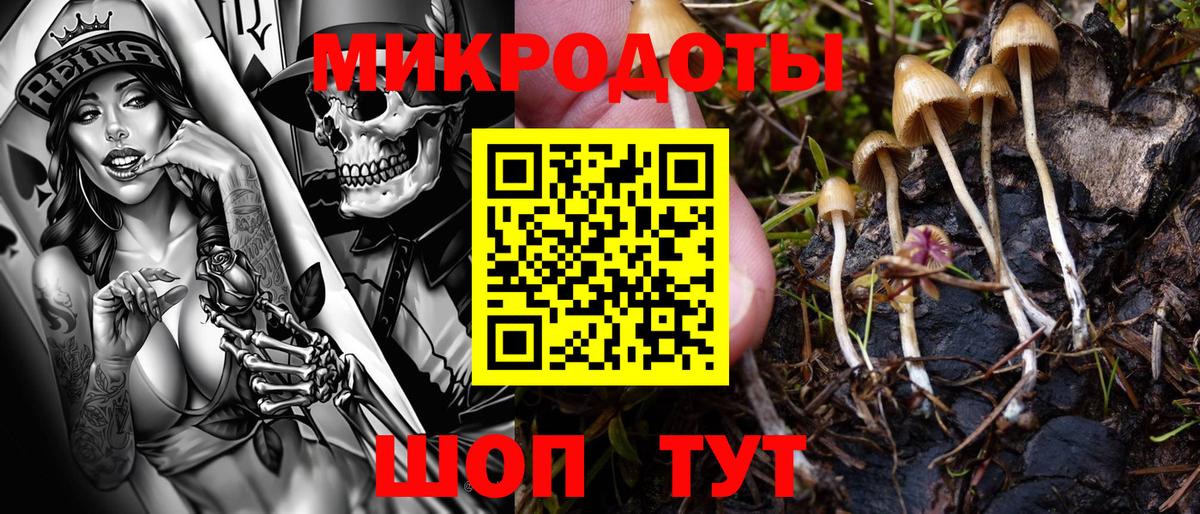 Псилоцибиновые грибы прущие грибы Кизилюрт