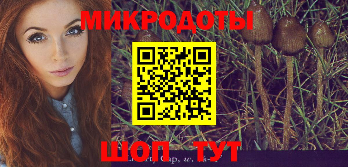 Псилоцибиновые грибы Psilocybine cubensis  Вход с VPN  Кизилюрт  как найти закладки  Галлюциногенные грибы мицелий 